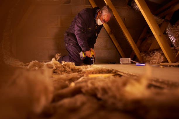Best Specialized Insulation Services in Rib Mountain, WI