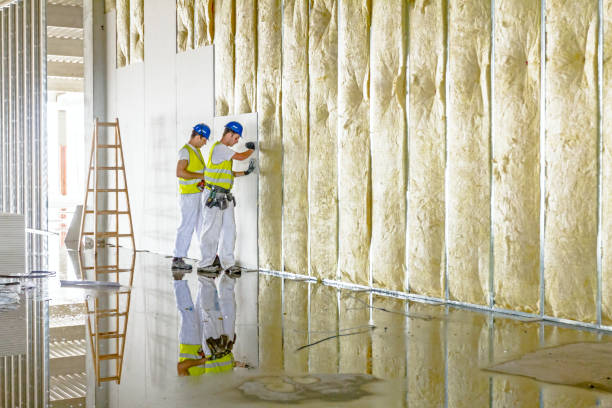 Best Eco-Friendly Insulation in Rib Mountain, WI